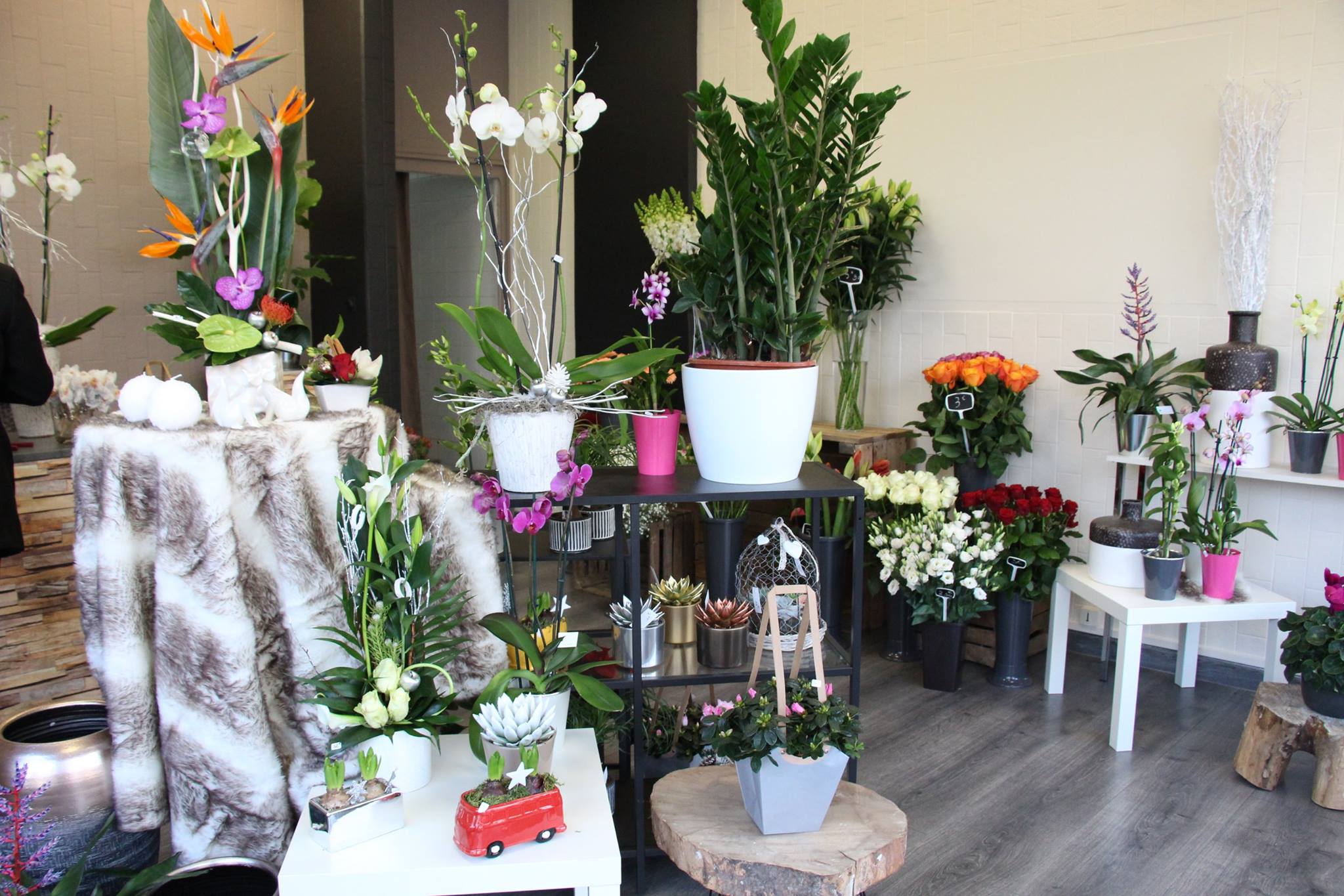 calypso fleuriste villers semeuse