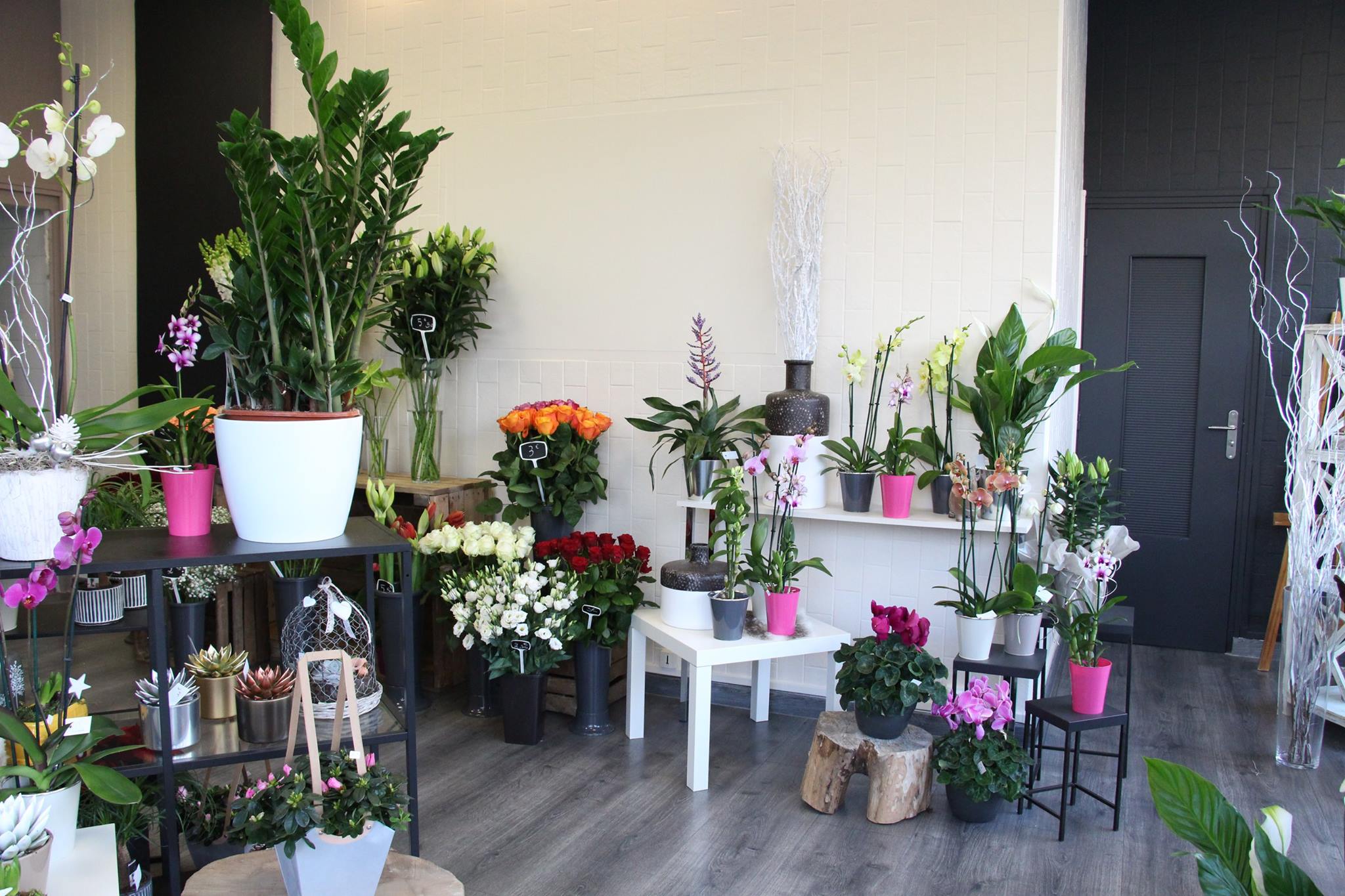 calypso fleuriste villers semeuse