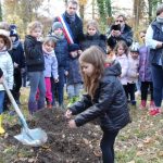 Arbres du Centenaire villers-semeuse