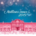 Meilleurs voeux 2019 - villers-semeuse