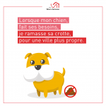 déjections canines de villers-semeuse