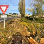 abattage peupliers italiens villers-semeuse