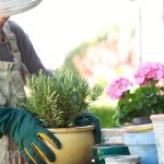 ramassage déchets verts seniors ardenne métropole villers-semeuse